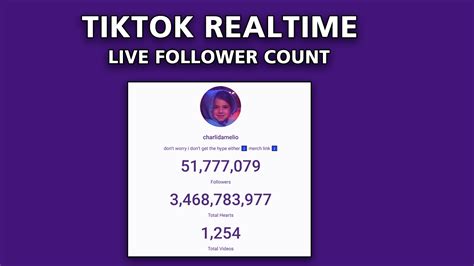Realtime TikTok Live Follower Counter ⚡️ .